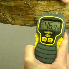 A moisture meter can tell you whether your firewood is properly seasoned. This wood is too wet to burn.